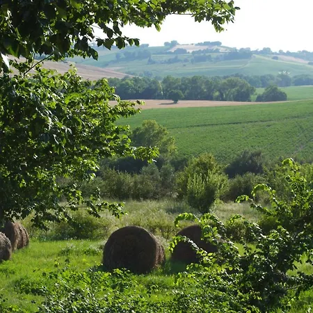 Agriturismo La Nocicchia * Montemarciano