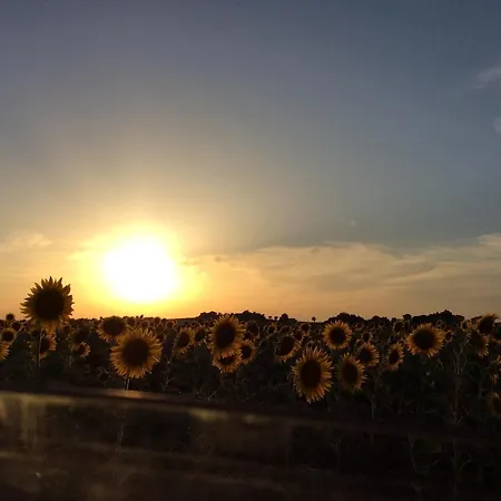 Agriturismo La Nocicchia Farmház *